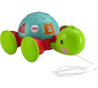 Fisher-Price - Y8652 - Ma Tortue À roulettes