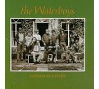 Fisherman's Blues [Import]