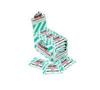 Fisherman's Friend Boîte de 24 Sachets Menthe sans Sucres (600 g)