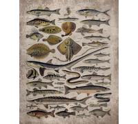 Fishing 2026 Teacher Planner Weekly and Monthly: Minimalist Lesson Record, Calendar Organizers, goal, to do list