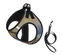 Fishing Lake Ensemble harnais et laisse imprimé pêcheur pour chien et chat de petite, moyenne et grande taille
