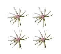 Fishing Lures Set - 4 Piece Slow Sinking Soft Bait Kit, Realistic Swim Action, High Attraction Artificial Fishing Bait System, Multi Segment Lure Set for Trout Catfish Bass Lake Pond Stream