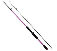 Fishing Rod Canne à pêche Casting ultralégère, 2 Sections, leurre, Ligne de 8 25g, Pointe 15lb, matériel Rapide, ultraléger, for Truite et Bar(Casting Rod,1.65M)