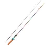 Fishing Rod Canne à pêche Spinning et Casting en Fiber de Carbone, 1.8m, .68m, 2 Sections, Accessoires for au leurre, la Truite Bar(Casting Rod,1.68M)
