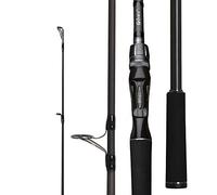 Fishing Rod,Fishing Pole 1.98m 2.28m 2,58 3 Section Bait Casting pêche Ultra léger Rod Voyage avec for Bateau Lure 7G-55g Rod(Spinning 2.28m10 40g)