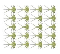 Fishing Soft Bait - 20x Mouche Artificielle attachée, Parties du Corps nymphes | Assortiment de leurre de pêche à la Truite Artisanale pour Les rivières, Les ruisseaux, la pêche à la Bas