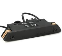 Fishman Micro pour guitare acoustique Rare Earth - Rosace double bobinage actif