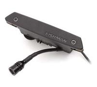 Micro acoustique actif pour rosace Fishman Rare Earth Mic Blend