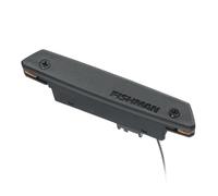 Fishman - Rare Earth - Micro rosace simple bobinage