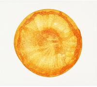 Fishmans - Uchuu:Best of Fishmans