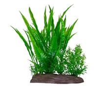 Fishtanks Decoration Verte Réaliste avec des Regards Naturels Base Life Like Water Grass for Home Aquariums Ornement Home and Office Aquariums Decors