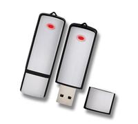 FISHTEC - Clé USB Microphone 4 Go - Enregistreur Micro Espion - Dictaphone 13h d'Enregistrement - Batterie Intégrée - Format .WAV - Temps de Charge : 3h - Design Élégant - Haute Discrétion - Pratique