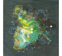 Fisk, Steve - 999 Levels Of Undo