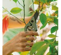 Fiskars Plant Care Sécateur de Jardin avec Étui, 20 cm 1075314
