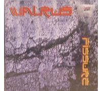 Fissure by Walrus