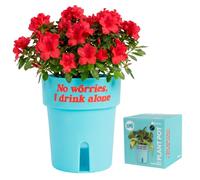 fisura. - Cache-Pot Auto-arrosant 12 cm. 250 ML. (Drink Alone, Bleu)