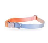 Fisura - Collier Chien réglable Motif dégradé, Collier Nylon Petit Chien avec Boucle Zinc Fermeture Rapide, Accessoire Animaux Confortable résistant, Largeur 1,5 cm Usage Quotidien