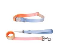 Fisura - Ensemble Collier Laisse Chien Motif dégradé, kit Nylon réglable pour Grand Chien avec Boucle Rapide Solide, Accessoire Promenade résistant Confortable Design Original
