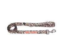 Fisura - Laisse Chien “Born to be Wild”, Laisse Nylon résistante pour Chien Petit Moyen avec Mousqueton métal, poignée Douce Confortable, Sangle Promenade Solide 2,5 cm x 120 cm Accessoire