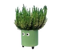 Fisura - Pot de fleurs original avec motif d'œil. Pot de fleurs et de plante décoratif. Jardinière décorative d'intérieur. Pot en céramique verte pour fleurs et plantes grasses.13 x 12,5 cm.