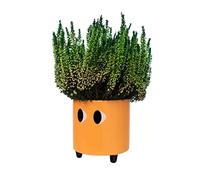 fisura. - Pot de Fleurs Original avec Motif d'œil. Pot de Fleurs et de Plante décoratif. Jardinière décorative d'intérieur. Pot en céramique Orange pour Fleurs et Plantes grasses.13 x 12,5 cm.