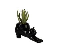 Fisura - Pot de fleurs original en forme de chat. Pot de fleurs et de plante décoratif. Petit pot pour cactus. Pot de fleur en céramique noir. 23 x 10 cm.