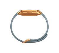 Fitbit Ionic Montre-Coach Connectée Mixte ORANGE Adulte 0816137026086