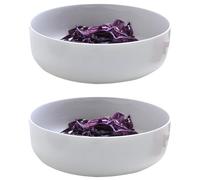 Fitlin 2 Pcs Ceramic Bowl Set, 6.1 in White Bone China Bowl, 20.3 fl oz Deep Dinner Bowl, Modern Style, Suitable for Steaming and Cooking