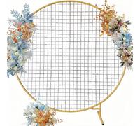 Fitlin Arche de jardin en métal - Décoration de fête d'anniversaire - 1,2 m - Rond - Ballon et fleur (doré, 1,8 x 1,8 m)