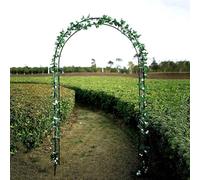 Fitlin Arche de Jardin en métal for Mariage, tonnelle Tubulaire Solide for rosiers et Plantes grimpantes, décorations élégantes et Robustes(Black,300x220x40CM)