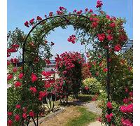 Fitlin Arche de Jardin en métal for Plantes grimpantes, Tube en Acier épais de 20 mm, Stable et étanche, Arche décorative multifonctionnelle Noire(1.2m*2.4m)