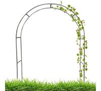 Fitlin Arche de Jardin en Treillis avec Cadre en Acier(1.5m/4.9ft)