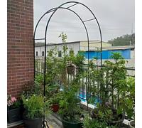 Fitlin Pavillon de Jardin Romantique en Arche de Roses for Plantes grimpantes et légumes(Black,3 * 2.5m)