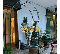 Fitlin Pavillon de Jardin Romantique en Arche de Roses for Plantes grimpantes et légumes(Green,3 * 2.5m)