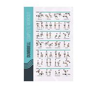 FitMate Poster Groupe d'Exercices - Routine Sportive avec Poids Libres, Décor Salle de Gym, Guide de Salle (41,9 x 63,5 cm, Haltère)