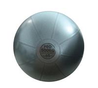 Fitness Mad - Ballon d'exercice Studio Pro (55 cm) (Gris)