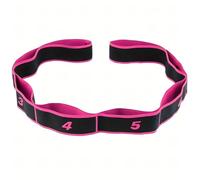 Fitness Resistance Bands, 2026 Upgrade Numbered Fitness Resistance Bands with Handles, Elastic for Full Body Stretching Shaping (Pink)