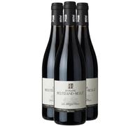 Fitou Les Mégalithes - Rouge 2022 - Domaine Bertrand-Bergé - Vin Rouge du Languedoc - Roussillon (3x75cl) BIO