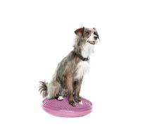 FITPAWS Balance Disc pour Chien - Violet - 14"