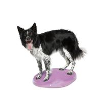 FitPAWS Balance Disc - Razzleberry - 56 cm