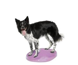 FitPAWS Balance Disc - Razzleberry - 56 cm