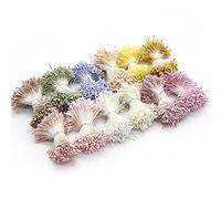 Fituenly 1 Lot de Pistils D'étamines Artificielles Multicolores À Double Tête De 1 Mm pour Fabrication De Fleurs, De Cartes De Noël De Décorations De Mariage (Couleur Aléatoire)
