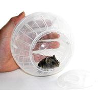 Fituenly Balle d'exercice Hamster 10cm Boule De Hamster Transparente Roue De Course De Rongeur pour Animaux De Compagnie Mignon Balles De Jogging Jouets pour Souris Gerbille Rat