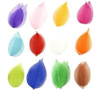 Fituenly Feuilles De Squelette Naturelles, 36 Pièces, Feuilles Sèches, Artisanat De Scrapbooking, Carte De, Matériel De Mariage, Mélange De Couleurs