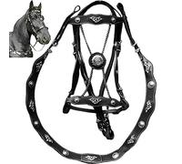 Fituenly Licchons À Cheval Et Cordes De Plomb PU en Cuir Licou Et Cordes De Plomb pour Chevaux sans Entraves Conception Ergonomique De Boucle en Métal