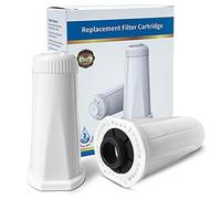 Fitwish Lot de 2 cartouches de filtre à eau pour Machine à café pour Breville Claro Swiss Sage pour Oracle Touch SES BES/990/980/878/880 Numéro de pièce # SES BES008WHT0NUC1