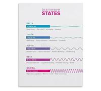 Five Brain Wave States Poster Mental Performance Wall Decor | Informative Brain States Poster Ideal for Classroom Wall(Magnetic,12x18inch(30x45cm))