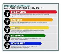 Five Level Triage Color Code Poster Canvas Painting Art for Emergency Medicine Teaching Classroom Home Office Decor