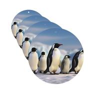 Five Penguins Lot de 4 cartes parfumées à suspendre pour chambre à coucher, armoire, voiture, tablettes d'aromathérapie pour homme et femme