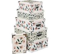 Lot de 6 Boîtes "Le Collectionneur" 48cm Multicolore